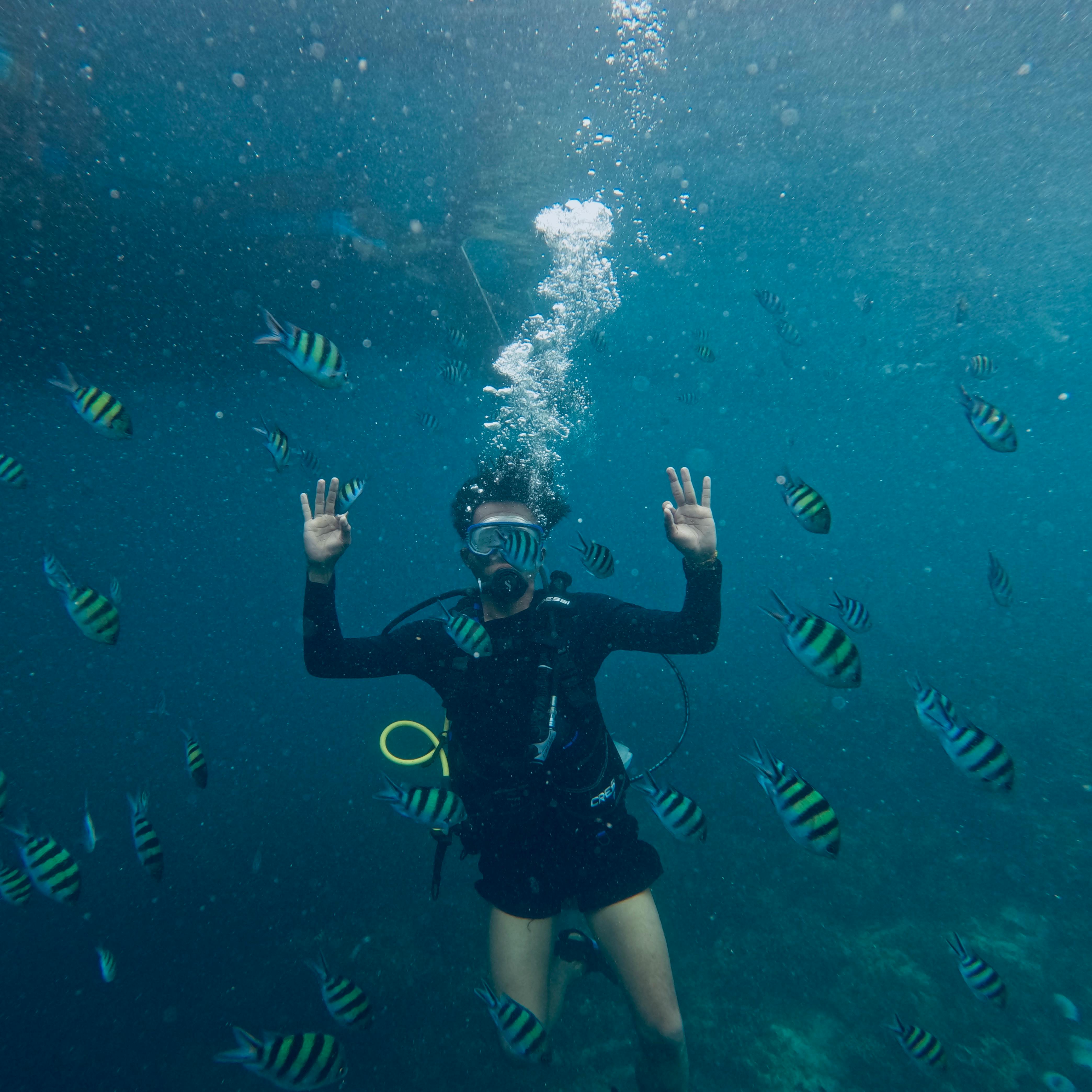 scuba diving